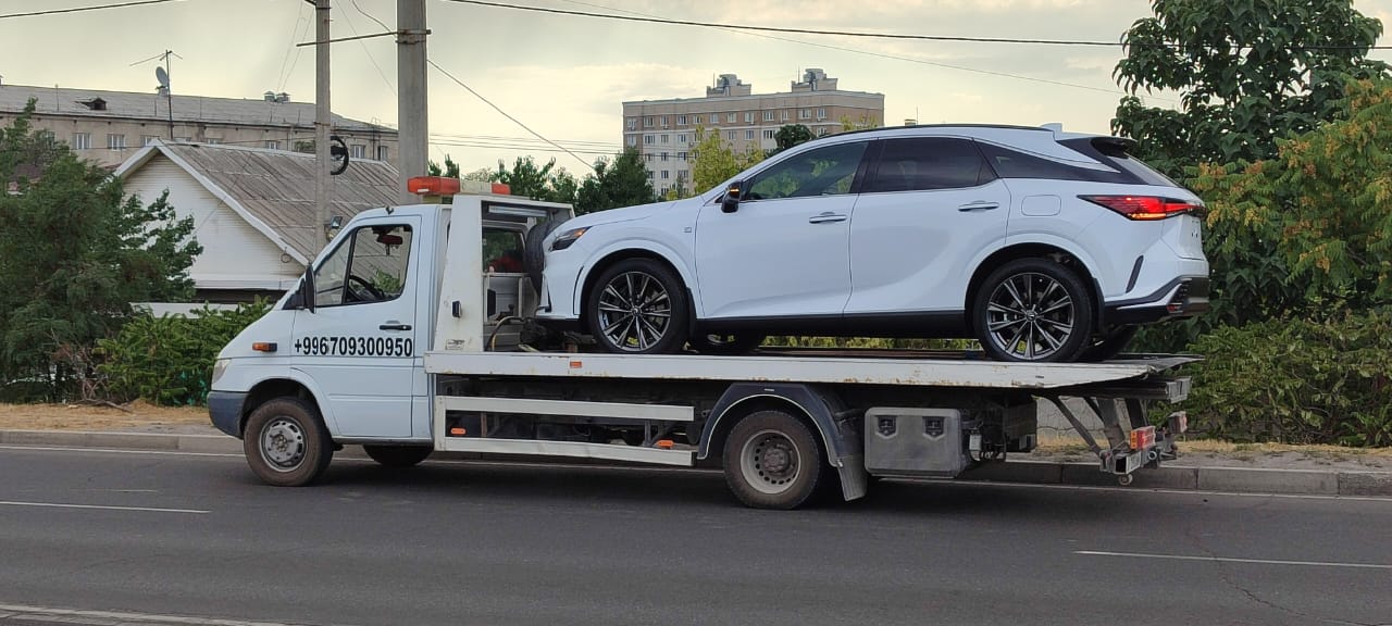 Галерея фото 7